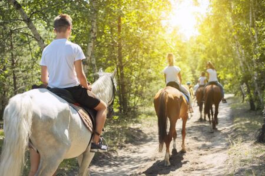 Passeggiata a Cavallo sul Monte Catillo – Tivoli