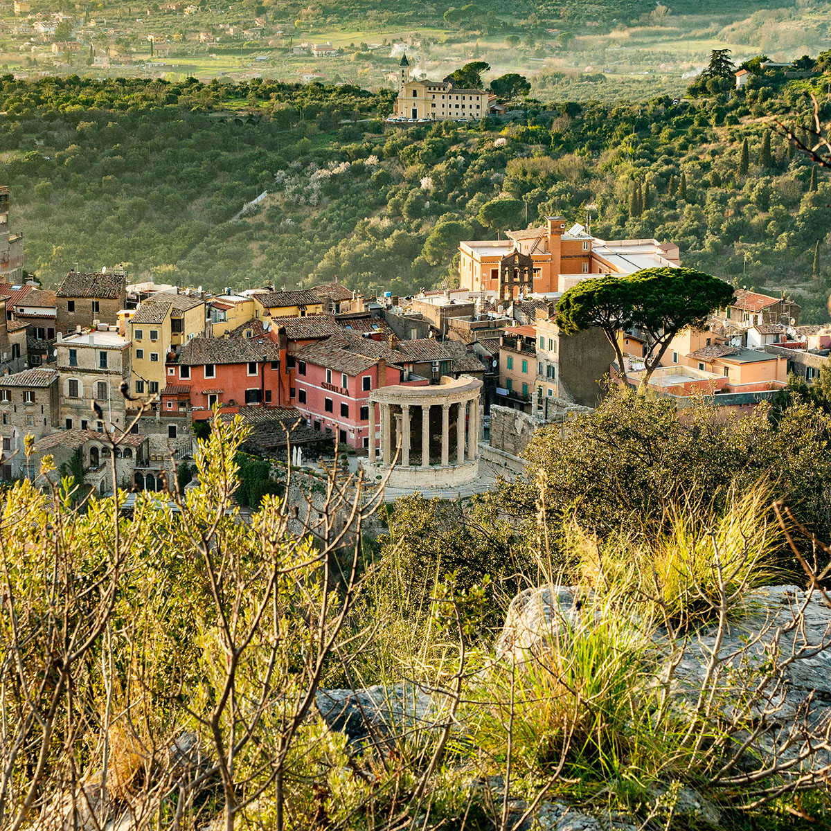 Passeggiata a Cavallo sul Monte Catillo – Tivoli