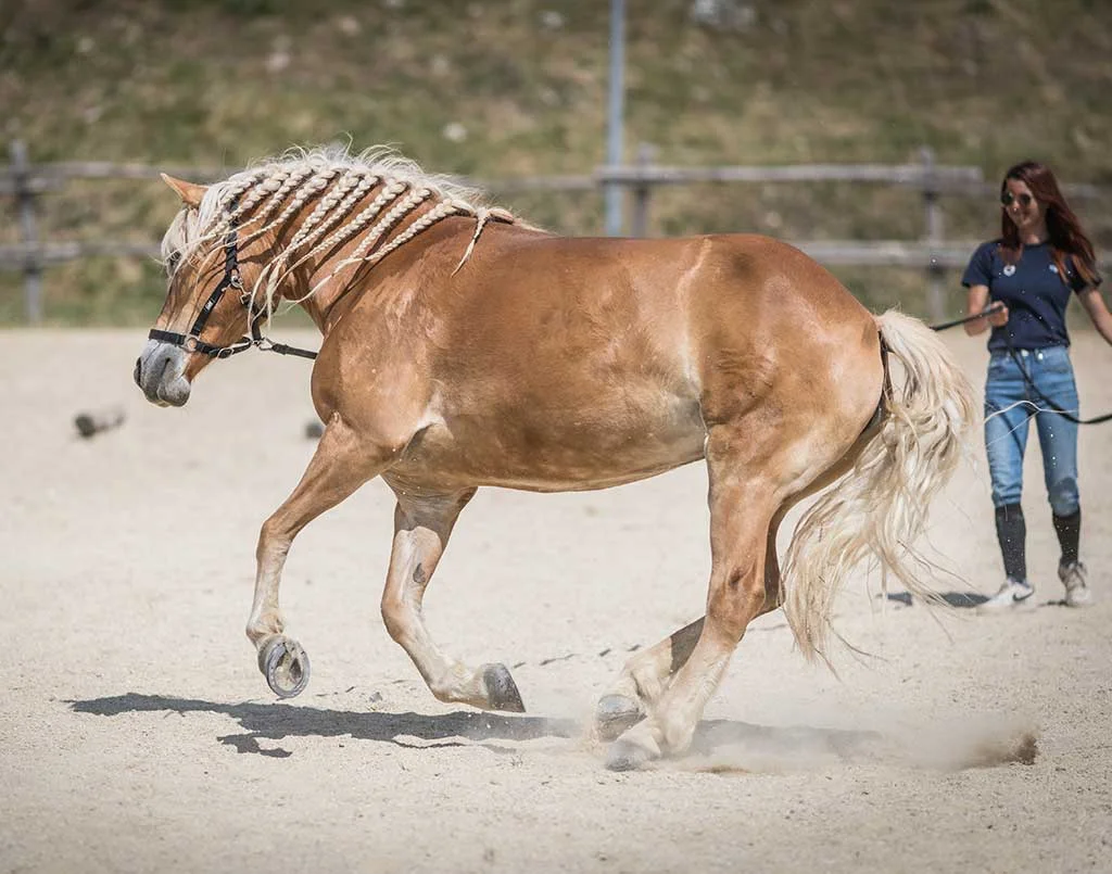 Cavalca…Pedala…Arrampica…e mangia sano sui monti Prenestini